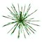 Celebrations Celebrations LED Green 3-in-1 Radiant Blast 16 in. Pathway Decor 16RB3N1GGRA - alternate 1